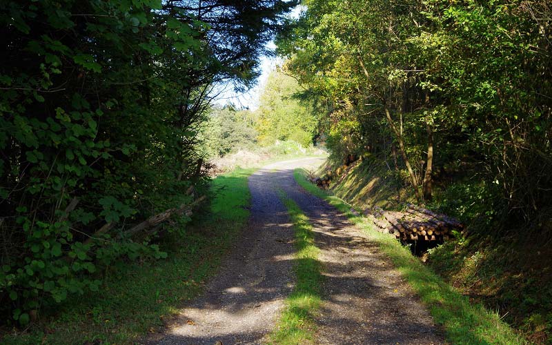 Hertaquellenweg