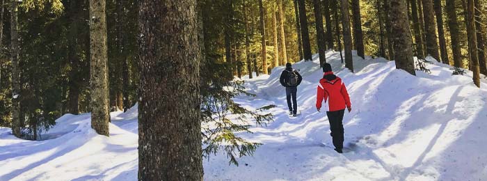 Wintersport in der Eifel